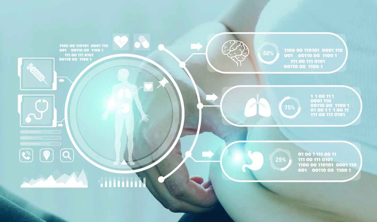 What Body Composition Measures