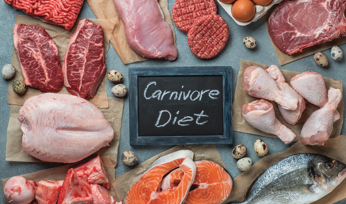 What is the Carnivore Diet Program?