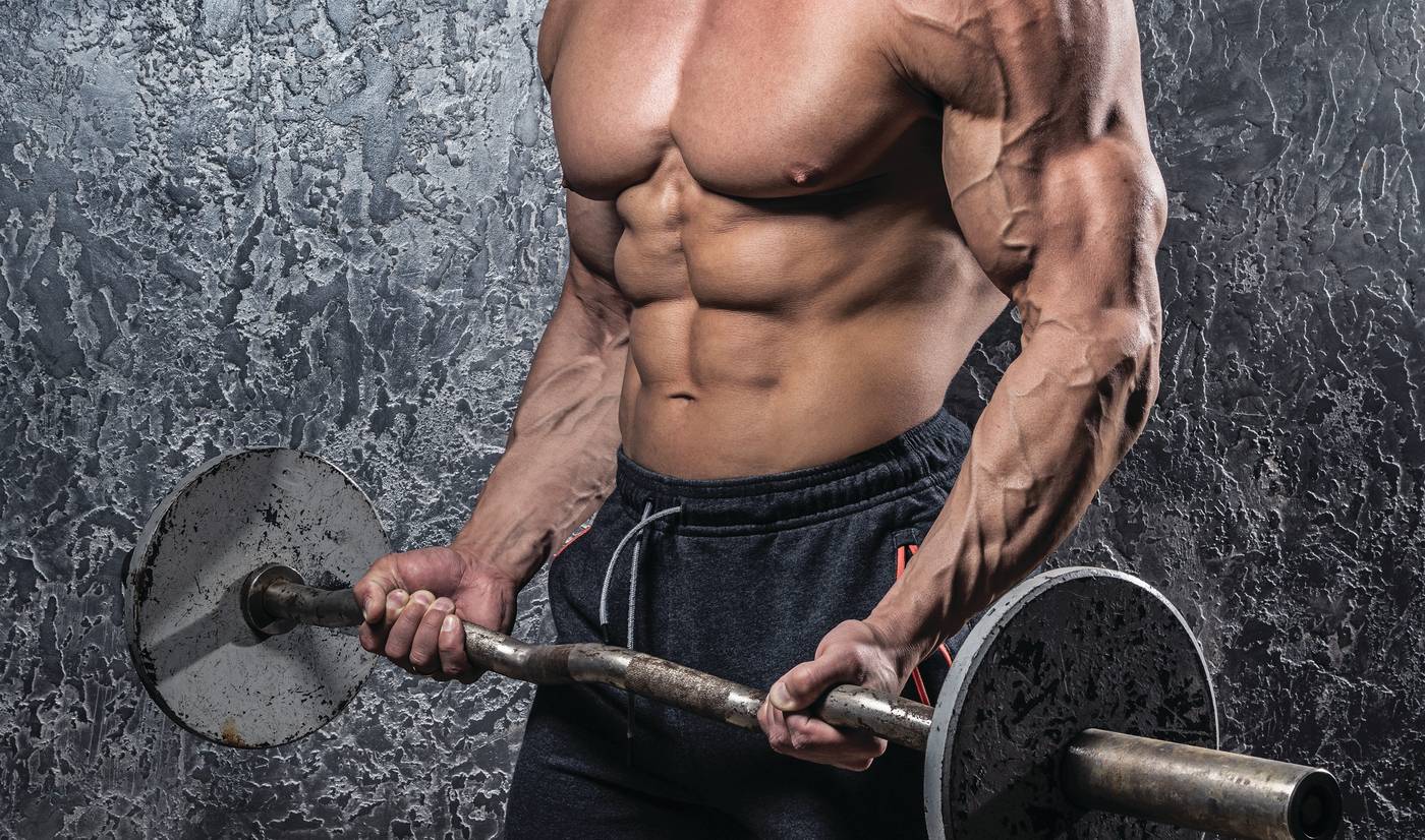 Components of the Muscle Gain Diet Program