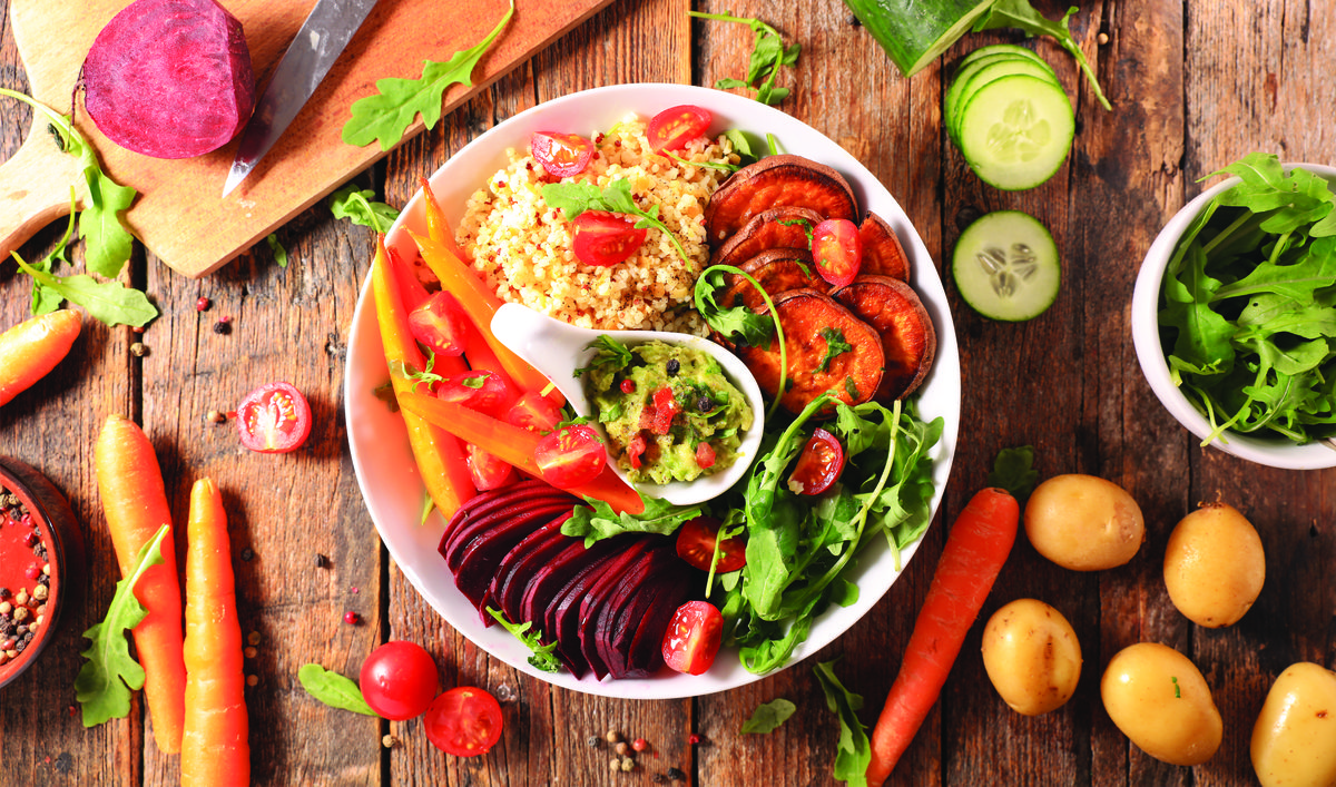 What is the Vegetarian Diet Program?