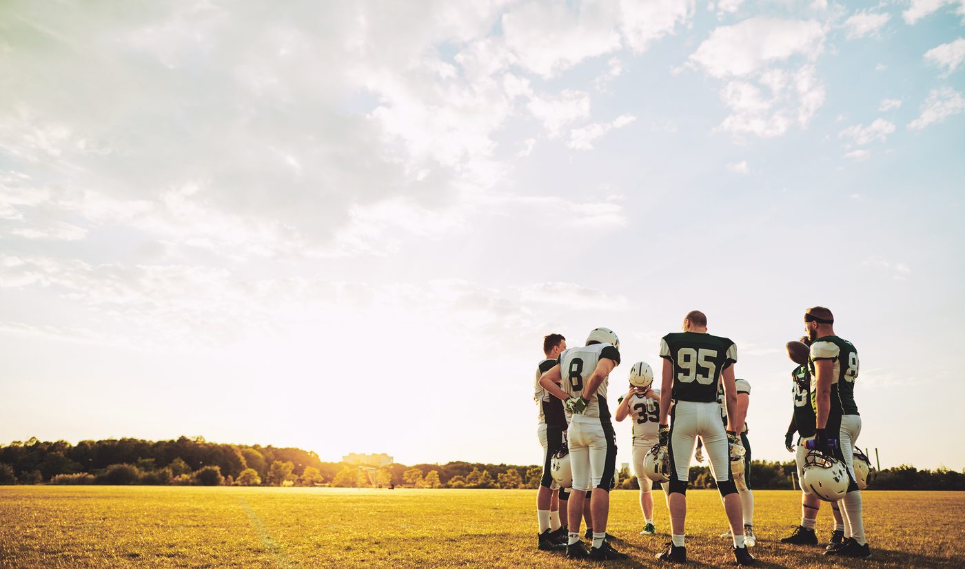 What is the Back to Field Program?