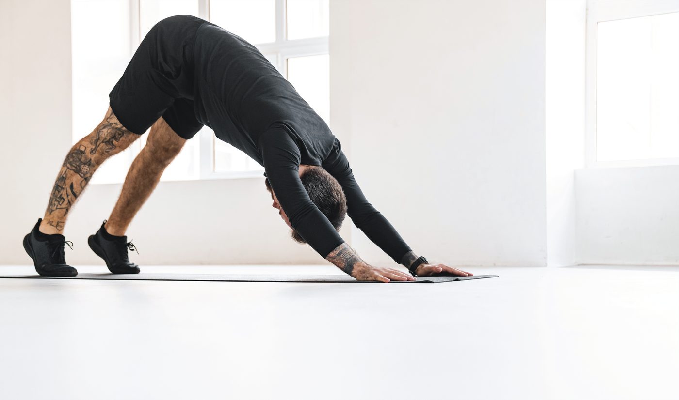 Why Should You Do Professional Rehabilitation?