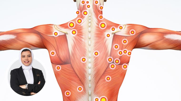 Trigger Point Massage Course Nervana